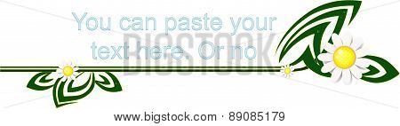 camomile bar