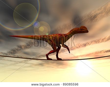 Concept or conceptual abstract business metaphor as wild heavy dinosaurus balancing on rope over sunset sky background
