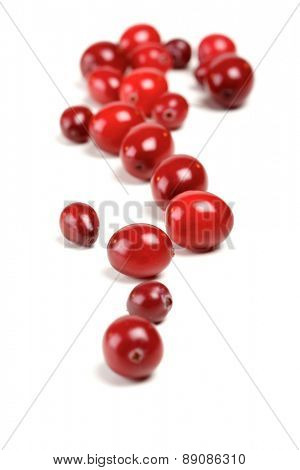 Cranberries on white background - studio shot