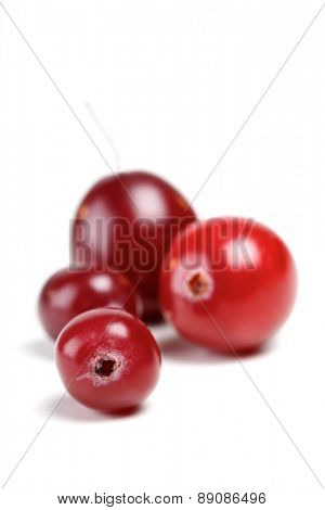 Cranberries on white background - studio shot