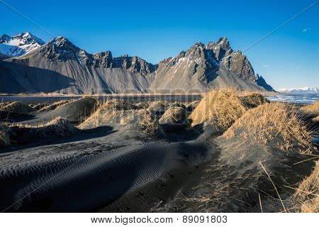 Mountains and volcanic lava sand dunes by the sea in Stokksness, Iceland. The brown bushes are lavender plants desiccated in the winter but will flourish and bloom when spring comes.