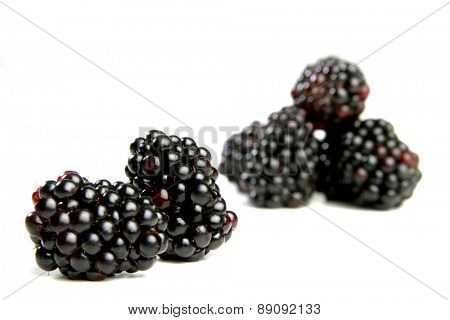 Blackberries on white backhround