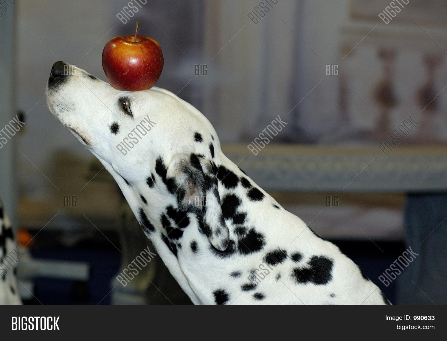 Image Preview