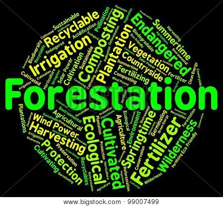 Forestation Word Shows Woodlands Woods And Trees