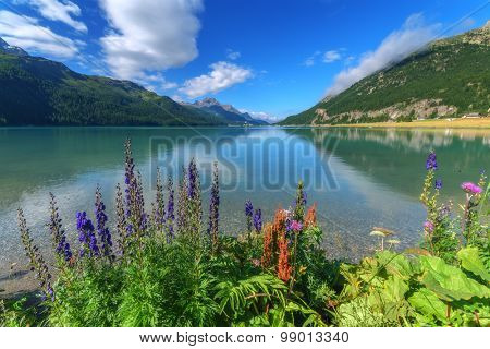 Amazing sunny day at Champferersee lake in the Swiss Alps. Silvaplana village, Switzerland, Europe.