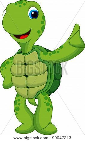 Cute turtle cartoon