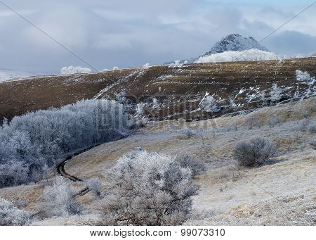 Frosty Landscape