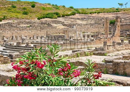Kamiros Ruins. Rhodes, Greece