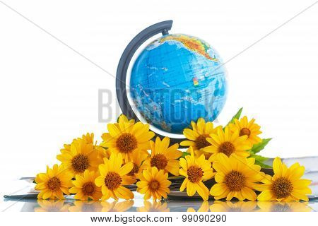 Globe With Books And Flowers