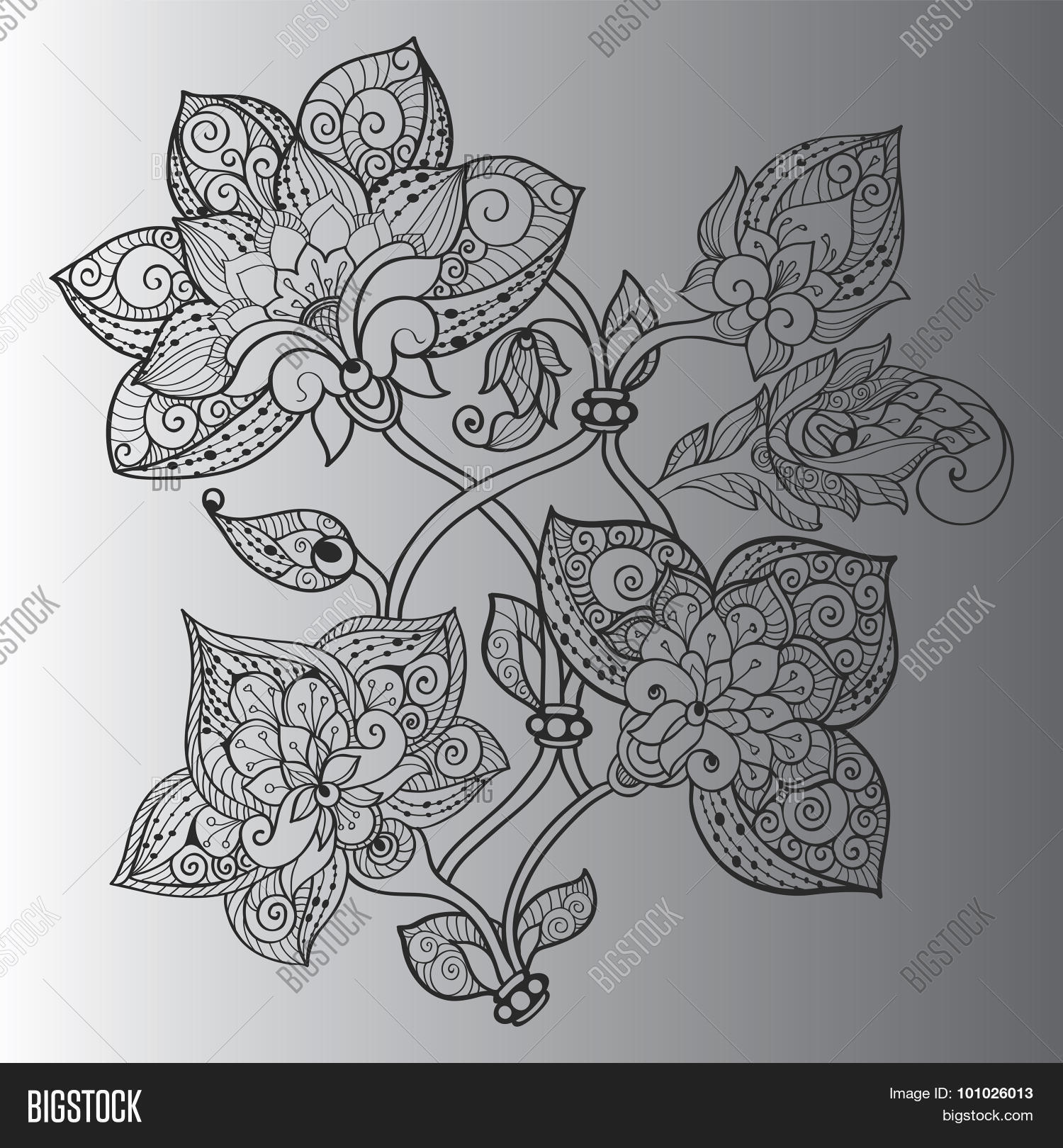 Image Preview