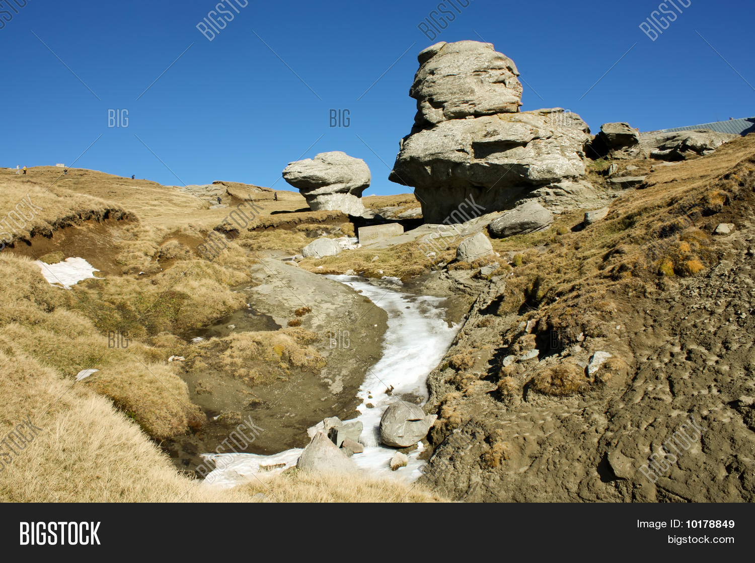 Image Preview