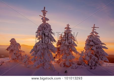 Fantastic orange evening landscape glowing by sunlight. Dramatic wintry scene with snowy trees. Kukul ridge, Carpathians, Ukraine, Europe. Merry Christmas!