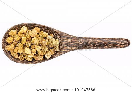 dried white mulberries on a wooden spoon isolated on white - superfruit