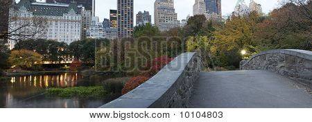 Gapstow pont - Central Park