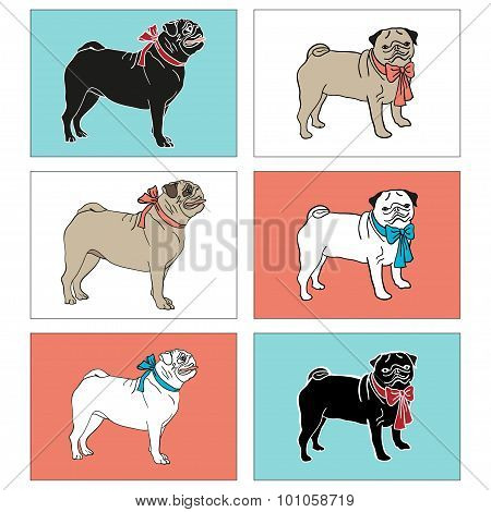 Set of pugs.