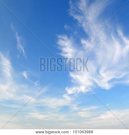 Plumose Clouds In The Blue Sky