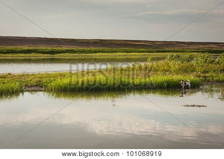 Landscape Of Central Russia, Ahtuba