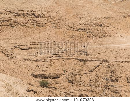 Judaean Desert - The Holy Land