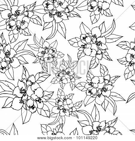 Jasmine pattern