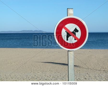Nenhum sinal de cão na praia