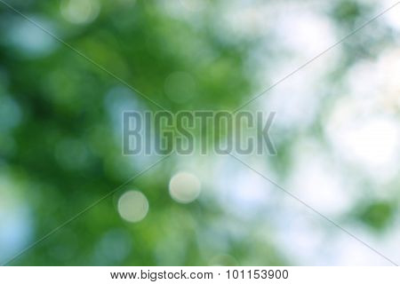 Bokeh Background