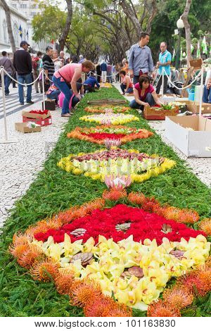 Flower carpets along the central promenade in Funchal. Madeira, Portugal