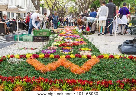 Preparations for the Flower Festival of Funchal, Madeira Island, Portugal