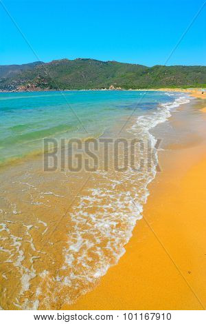 Porto Ferro Shore On A Clear Day