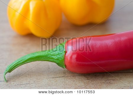Červená Chilli