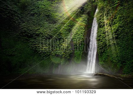 Waterfall in the tropical forest. (Munduk, Bali, Indonesia.)