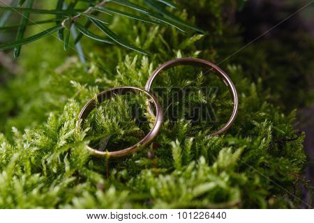 Two Golden Wedding Rings On Moss
