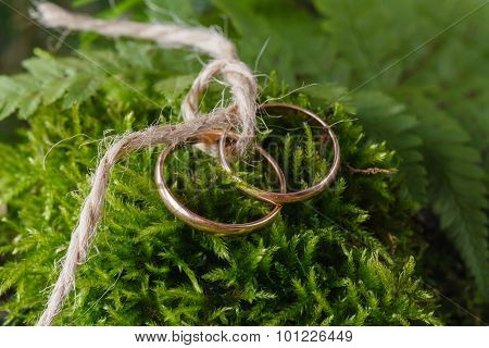 Two Bound Golden Wedding Rings On Moss