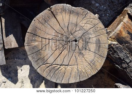 Wood