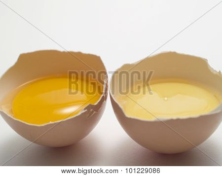 Eggs