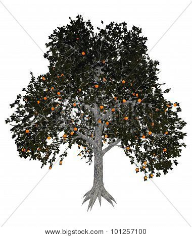 Asian or japanese persimmon tree - 3D render