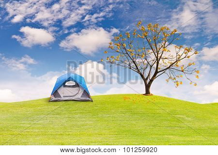 Dome Tent On Green Grass Field