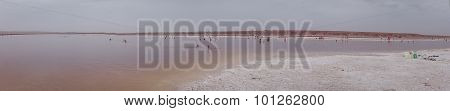 Russian Dead Sea - Lake Baskunchak, Russia
