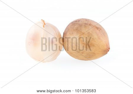 Longkong Tropical Fruit Isolated On White Background