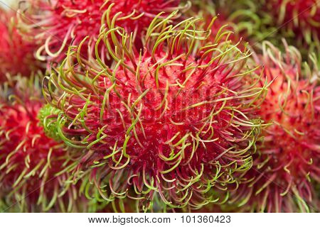 Rambutan fruit