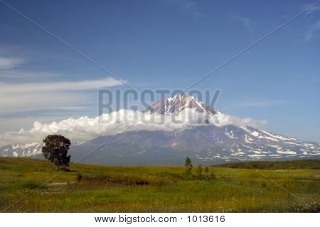 夏天风景