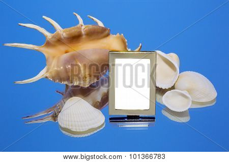 Sea Shells, Mirror, Photo Frame