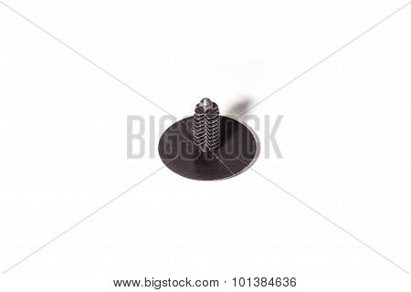 Holder