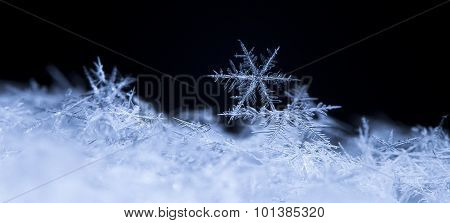 snowflake