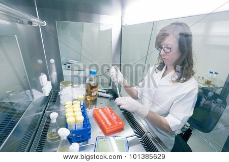 Life scientist researching in the laboratory.