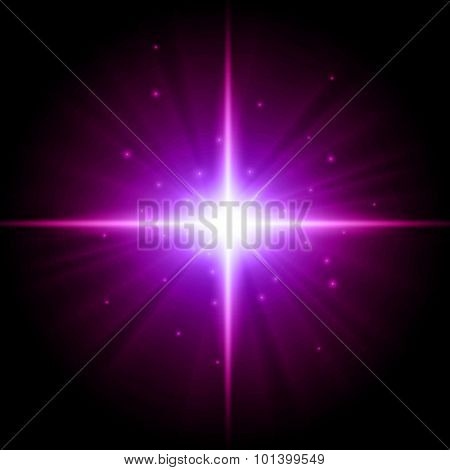 vector star illustration