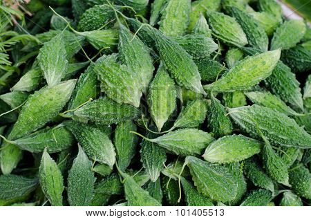 Momordica Charantia Linn