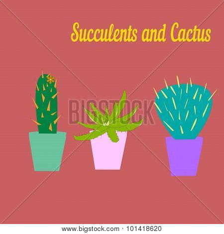 Cactus and succulent vector draw.