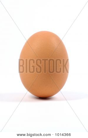 Egg18