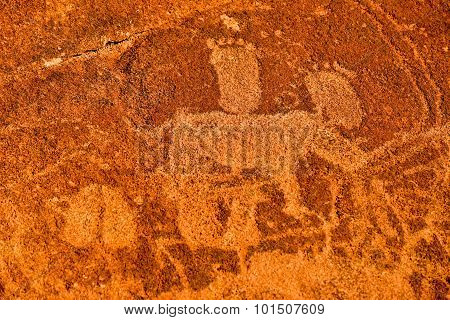 Bushman Rock Engravings - Namibia