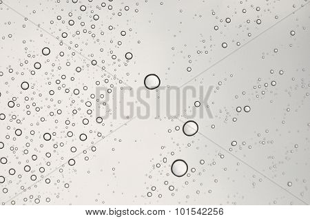 Bubble